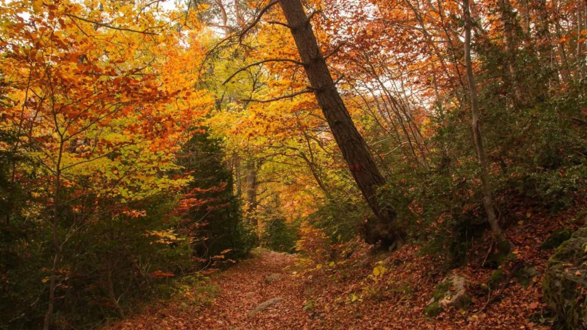 Borda De Fadrin Pension Ipies Buitenkant foto